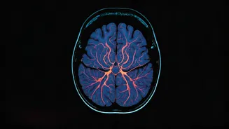 Brain Cancer: What Are The 5 Warning Signs?