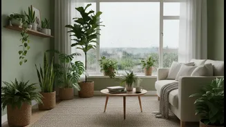 Rainy Days Are Better With Indoor Plants