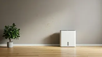 Don't Let Monsoon Moisture Win
