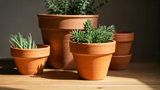 How To Create Calming Grounded Vibes Using Clay Pots