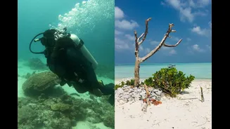 Planning A Lakshadweep Trip? New 2026 Entry Rules Make The Island Paradise More Accessible Than Ever