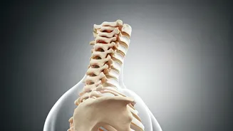 Fix Tech Neck: Decode Digital Slouch Today