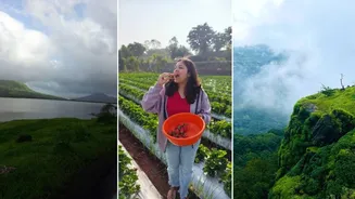 Monsoon travel guide: Safe hill station getaways near Mumbai and Pune for children