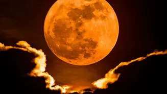 Lunar Eclipse Guide: Timing, Visibility And Viewing Conditions Explained