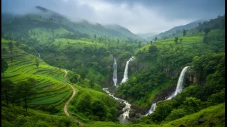 Rain Transforms The Western Ghats Into A Green Paradise