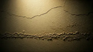 Damp Walls Can Kill Your Home Mood Fast