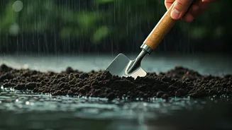 Monsoon Plant Care Starts With Soil Checks