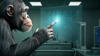 Chimpanzee's Extraordinary Linguistic Abilities Remembered