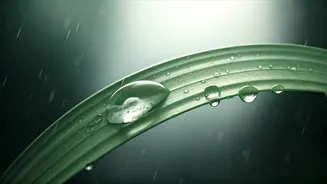 The Monsoon Habit Dermatologists Recommend Most