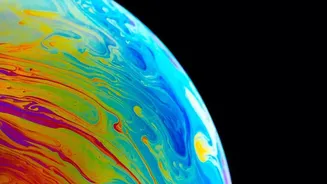 Understanding IMAP Mapping of the Solar Bubble with NASA's First Public IMAP Science Data