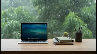 Stay Organised During Monsoon With These Smart Productivity Habits