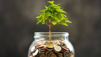 How India's Rs 3,811 Crore Unclaimed Mutual-Fund Pool Changes The Case For Old Mutual-Fund Folios
