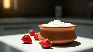 Dahi Makes Probiotic Eating Cheap And Familiar