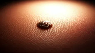 Unusual Skin Spots: Recognizing the Signs of Skin Cancer Early
