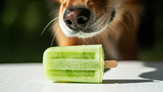 Keep Your Furry Friend Cool With Cucumber Curd Pops
