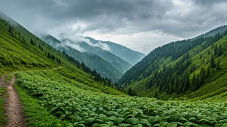 North India's Hidden Gems Shine During Monsoon