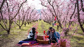 Thousands Visit Greece’s Peach Blossom Region Each Spring