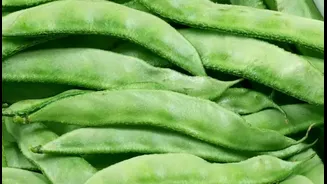 Indian Broad Beans Bonanza: Nutrition, Health Perks, and Tasty Recipes