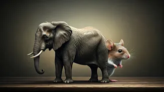 Unveiling Your Inner Strengths: Optical Illusion Test