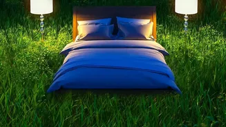 How Hill Station Sleep Tourism Programs Use Light Therapy And Soundscapes For Rest