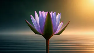 5 Profound Benefits of Chanting Om Namah Shivaya: Finding Inner Peace