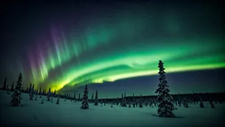 2026: The Year the Aurora Borealis Dazzled!
