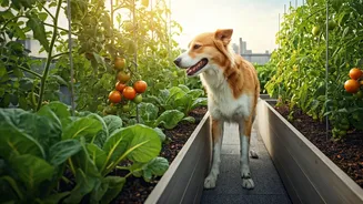 Why Sustainable Pet Care Intersects Deeply With Organic Urban Agriculture