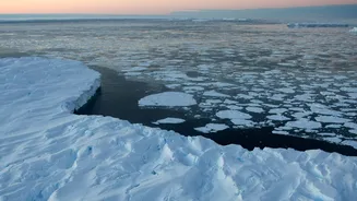 Maré das mudanças climáticas pode desestabilizar a Antártida
