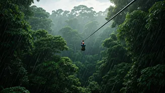 These Forest Ziplines Offer Incredible Rainy Views