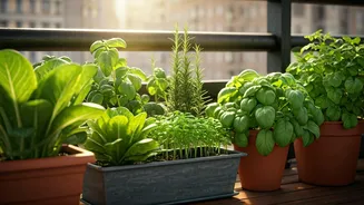 City Balconies Are Suddenly Full Of Edible Greens