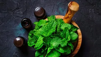 Turn kitchen leftover coriander and mint stems into zero waste cooking oils