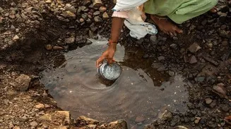 El Nino and patchy monsoon may raise Indian food prices