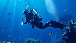 What Scientists Can Learn About Ocean Fertilisation Limits From The New Ocean Iron Study