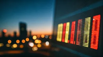 Top Stocks: Retail Investor Favorites & Market Movers