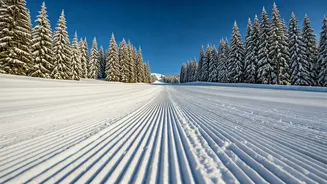 Top Ski Resorts in the West: Perfect Grooming!