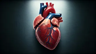 Sudden Heart Attacks in Men Over 40: Understanding the Silent Danger