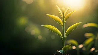 Sadhguru's Wisdom: Cultivating Joyful, Confident Children Through 10 Transformative Parenting Insights