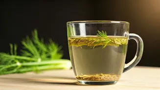 Drink Warm Fennel Water To Beat Afternoon Sluggishness