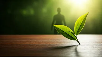 Unlock Vitality: Daily Green Tea for 2 Weeks – Harvard Doctor Reveals Surprising Benefits
