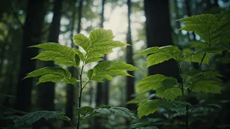 Unraveling the Mystique of Psithurism: A Deep Dive