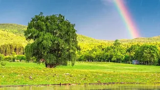 Rainy-Season India: Five Destinations For A Different Kind Of Getaway