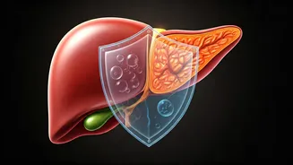 Related Stories banner