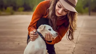 A Pet's Welfare Depends on Timely Access, Not Only Good Intentions