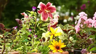 Flowering Balcony Plants Are Adding Seasonal Texture To Indian Apartment Homes