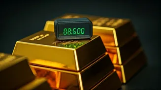 Vidya Wires IPO: Key Updates and Investor Insights