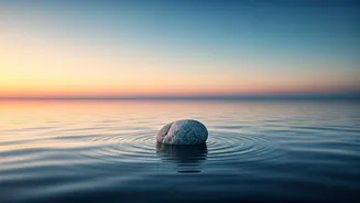 May 14, 2026 Love Forecast: Embrace Stability by Releasing Emotional Turmoil