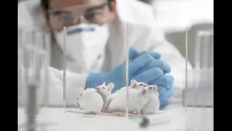 Suplemento de aminoácidos reduz danos ligados ao Alzheimer em ratos