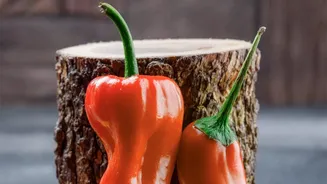 Sweet vs Hot Peppers: Key Differences