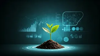 Virgo's March 10, 2026 Forecast: Navigating Health, Travel, and Finances