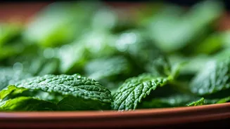 This Green Ingredient Can Change Your Dinner Mood